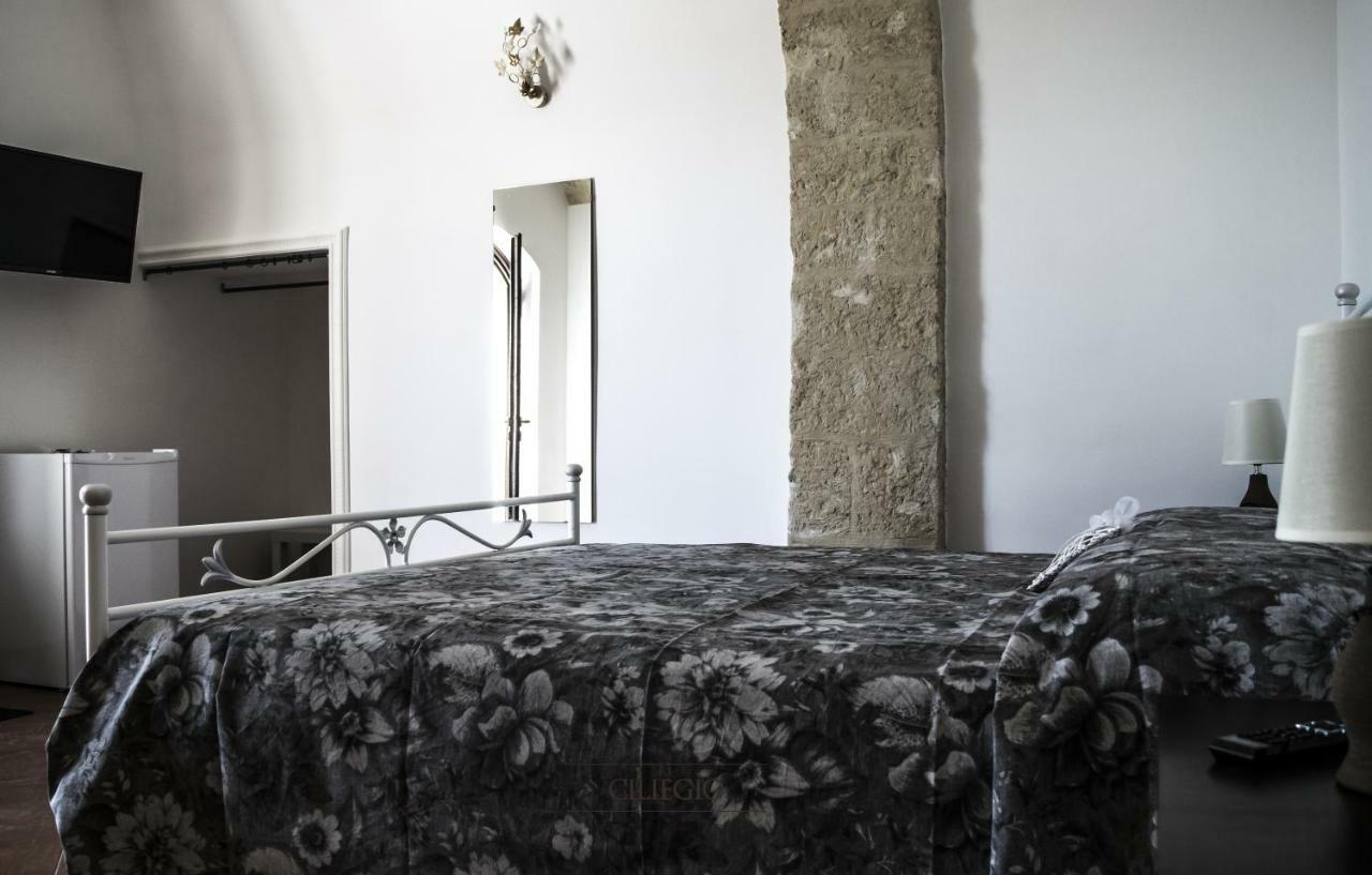 Tenuta Vigna Del Noce Corato Bagian luar foto